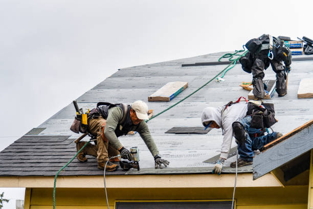 Professional Storm Damage Roof Repair technician working in Westpoint, IN
